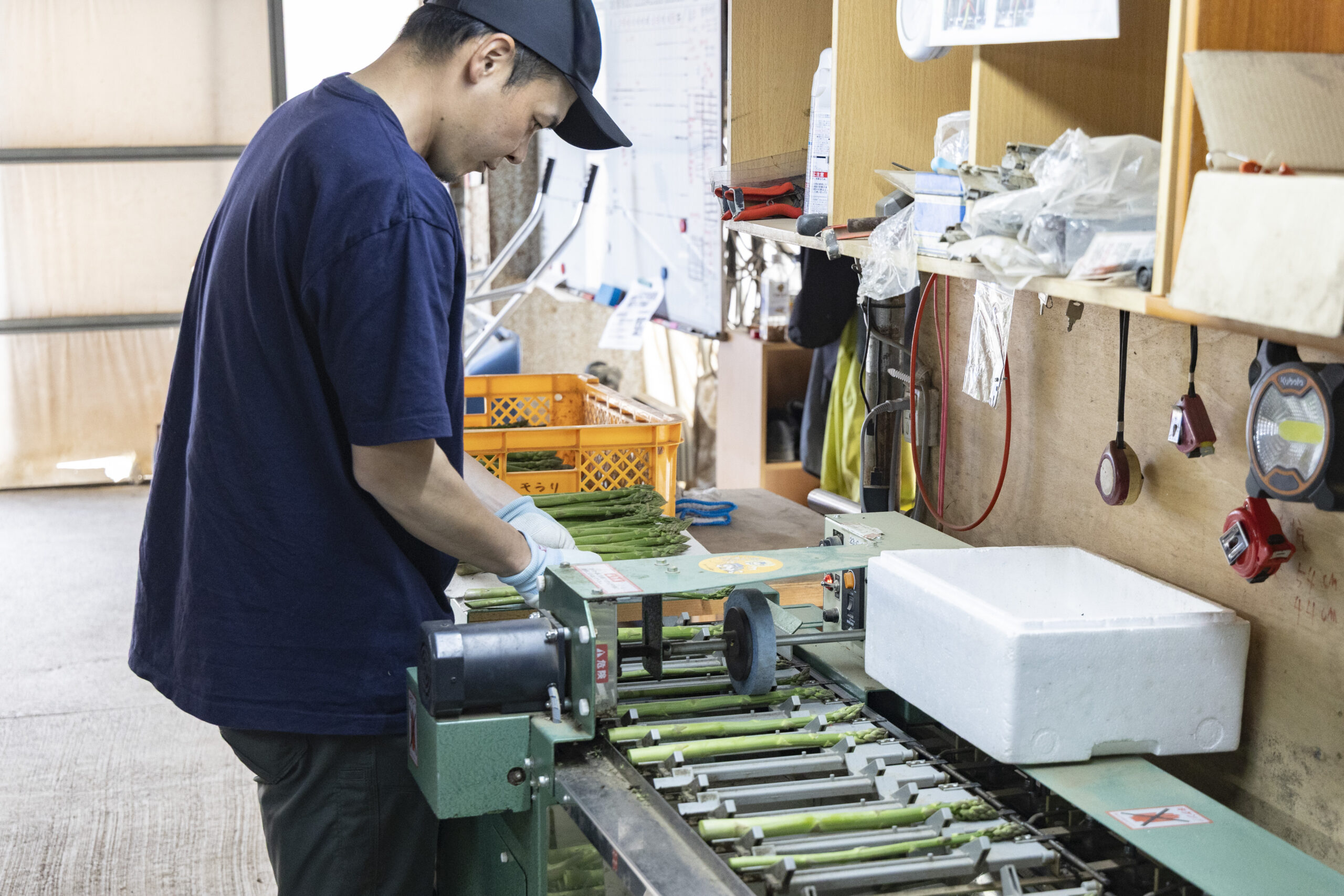 専用の機械で1本ずつサイズを仕分けます
